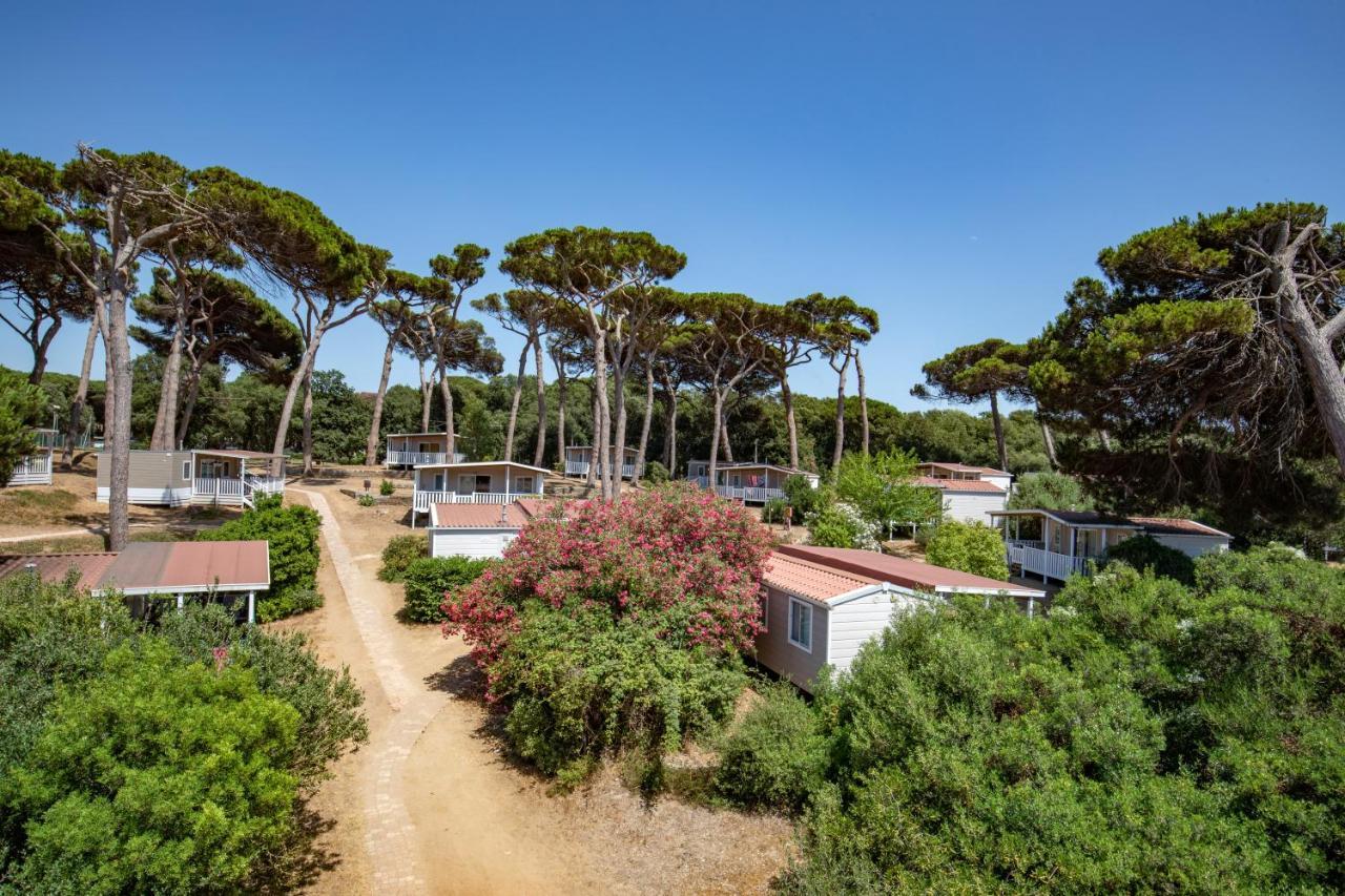 Parco Della Gallinara Lido dei Pini Exterior foto